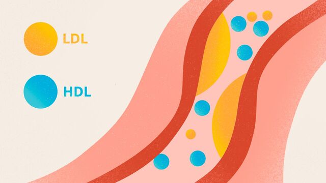 hdl-cholesterol-high-cholesterol-about-1440x810.jpg